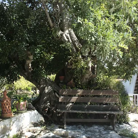 Holiday home Casa Toni Carvoeiro (Lagoa)